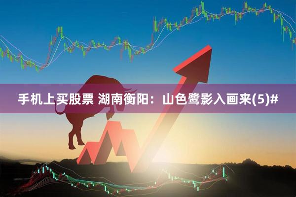 手机上买股票 湖南衡阳：山色鹭影入画来(5)#